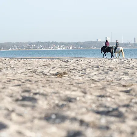 Appartamento Wohnpark Am Muehlenteich - 27