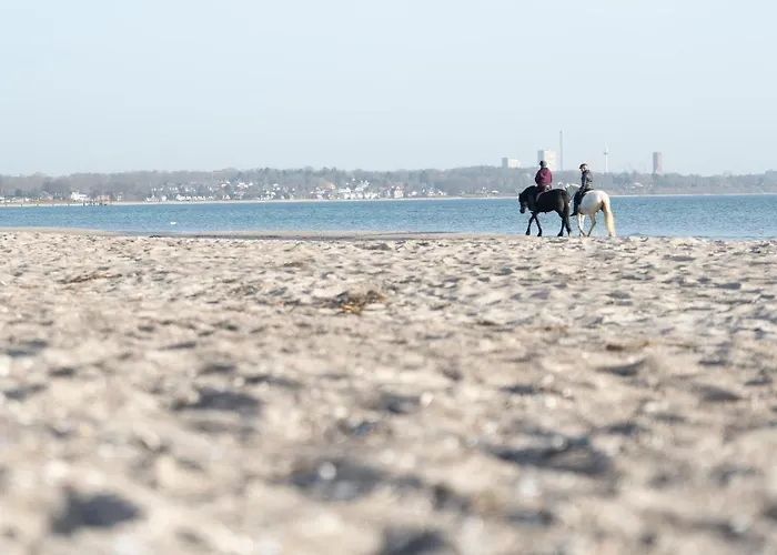 Apartment Wohnpark Am Mühlenteich - 27